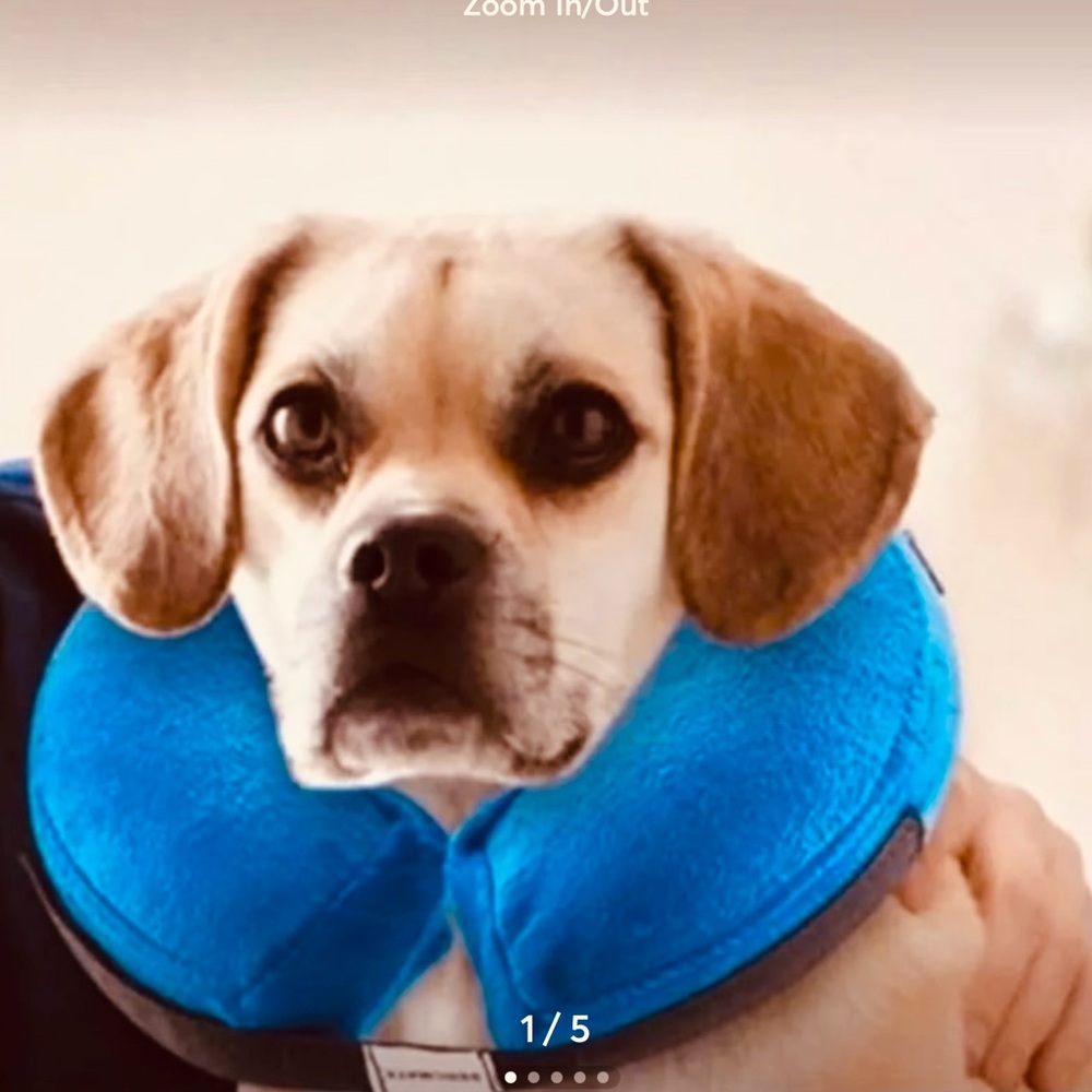 New Bencmate Dog/ cat inflatable neck collar fits neck 12”-18”, for rehab